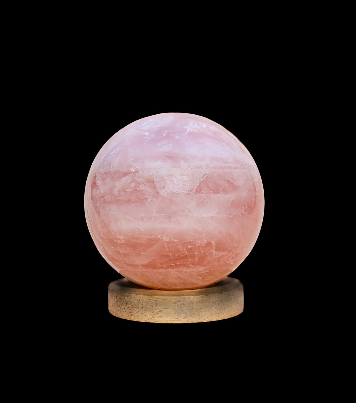 Rose_1